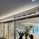 숲속노을 동물병원 이미지