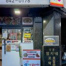 선정은하수꼬막마을 | 강릉 먹거리 여행 동화가든 짬뽕순두부 엄지네포장마차 꼬막비빔밥