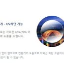 으뜸50안경 서면점 이미지