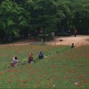 햇빛마루 이미지