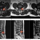 우성가정의원 이미지