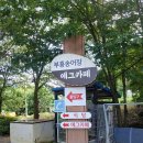 부흥횟집 이미지