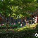 절캉스 - 번뇌산책 마음세척 :: 쌍계사, 골굴사, 보은 법주사 이미지