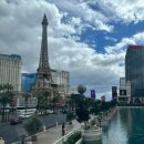 헤어코리아자판기 | 미국 라스베가스 패리스 호텔 Paris Las Vegas 호텔 후기 | 예약, 가격, 체크인, 룸 뷰, 방 상태,
