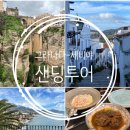 나밍밍 강아지네 | 그라나다에서 세비야 이동 샌딩투어 내돈내산 후기