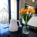 창포해피랑 이미지