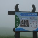 동양목장 Daum카페