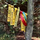가양도서관 화장실 | 북망산(102m) 구봉이(96m) 대금산(106) 뻐꾹 산(69m) 법둣재산(92m) 말머리재산(49m) 반동산(45m) 말림...