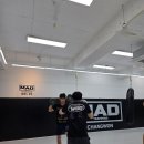 팀매드창원 네이버블로그