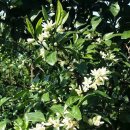 별의향기민박 이미지