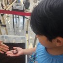 창녕우포곤충나라 이미지