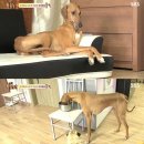 대단해농장 이미지