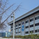 로하스크린 | 250321 아일릿 아몬드 초콜릿 뮤직뱅크 막방 사녹 다녀온 후기