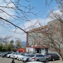 서봉산 산림욕장 1 이미지