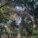 모로코 '마라케시 국제 민속 축제 2026(Marrakech World Folklore Days 2026)'! '마라케시 시청 광장'에 이미지