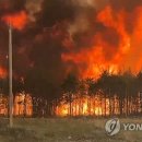 (주)더파인