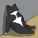 윤쌤동물병원 이미지