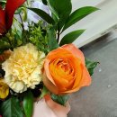 [남부] 다이어트댄스 이미지