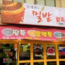 심재희 밀밭 이미지