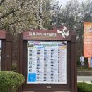 창녕 우포늪 산책 후기, 걷기 좋았지만 살짝 아쉬웠던 하루