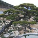 느티나무농장 이미지