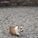 이즈하우스