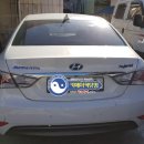 해동카프로샵 이미지