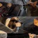 우리가마솥국밥 | [하동] 홍인 펜션 207호 바베큐&amp; 홍인 가마솥 국밥 후기