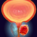 외송물산 이미지