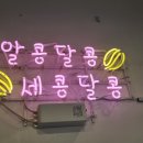 카페세콩