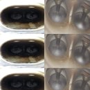 명동크리닝 이미지