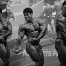 엇모스트짐 이미지