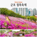 푸른동산유치원 | 군포 철쭉축제 서울 근교 산책 군포 가볼만한곳 철쭉동산 만개