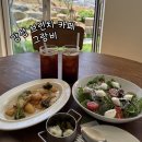사하구-41 | 신평 속 작은 유럽 브런치카페 [ 그랑비 ] 내돈내산 리뷰