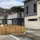 메르시독 이미지