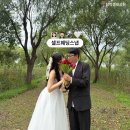 삼락생태공원 | 부산 셀프웨딩스냅 삼락생태공원 촬영후기, 야외 촬영 시안, 포즈, 결과물