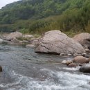 화개햇살민박 이미지