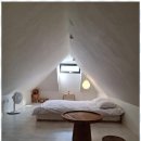 스테이오로지 이미지