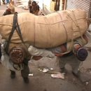 상무관광나이트클럽 이미지