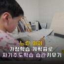 초등 한자 중급반 1-6학년 | 초등 2학년 느린아이, 가정학습 계획표로 자기주도학습 습관 잡기