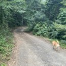 긴물스테이 이미지