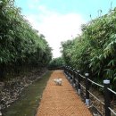 천수만민박 이미지