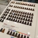 모리헤이즈 | [삼각지/효창공원] 용산 머리 잘하는곳 모리헤이즈 삼각지 수진 디자이너님 염색 후기