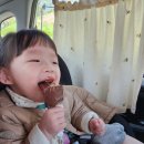 용인힐링캠핑장 | 아기랑 캠핑, "용인 힐링캠핑장" _거품파티, 수영장, 숲속힐링