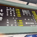 육짬뽕 티스토리