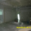 와룡 다이어트 복싱 Daum카페