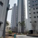 강남-189 이미지