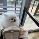 동물에 반하다 동물병원 이미지