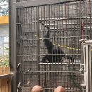 서울대공원 이미지