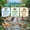 뇌운계곡사람들 | 댕댕이와 함께하는 힐링 피서! 반려견 동반 가능한 전국 계곡 & 캠핑장 리스트